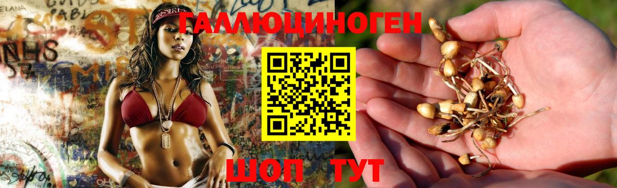 Рузаевка  где купить наркоту  Вход с VPN  Галлюциногенные грибы мицелий 