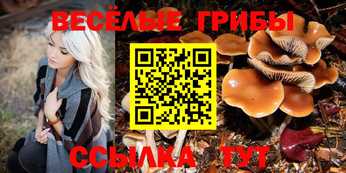 Галлюциногенные грибы GOLDEN TEACHER Рузаевка